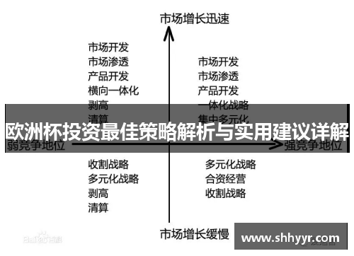 欧洲杯投资最佳策略解析与实用建议详解 欧洲杯投资最佳策略解析与实用建议详解