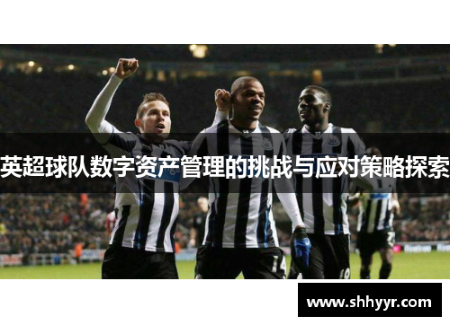 英超球队数字资产管理的挑战与应对策略探索