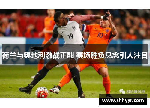 荷兰与奥地利激战正酣 赛场胜负悬念引人注目